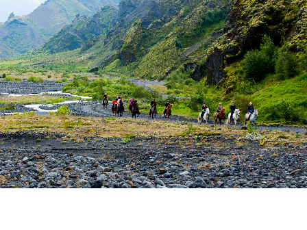 Riding with the Herd in Iceland 